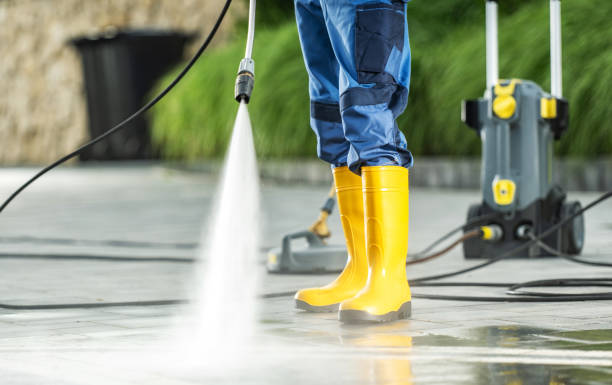 Best Power Washing Near Me  in Albion, PA